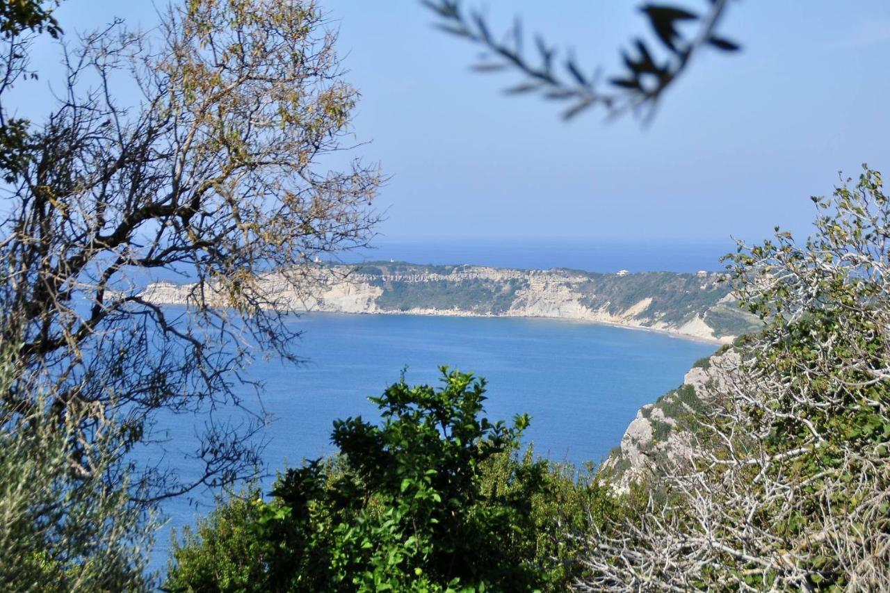 Villa Meli Afionas Corfu Екстериор снимка